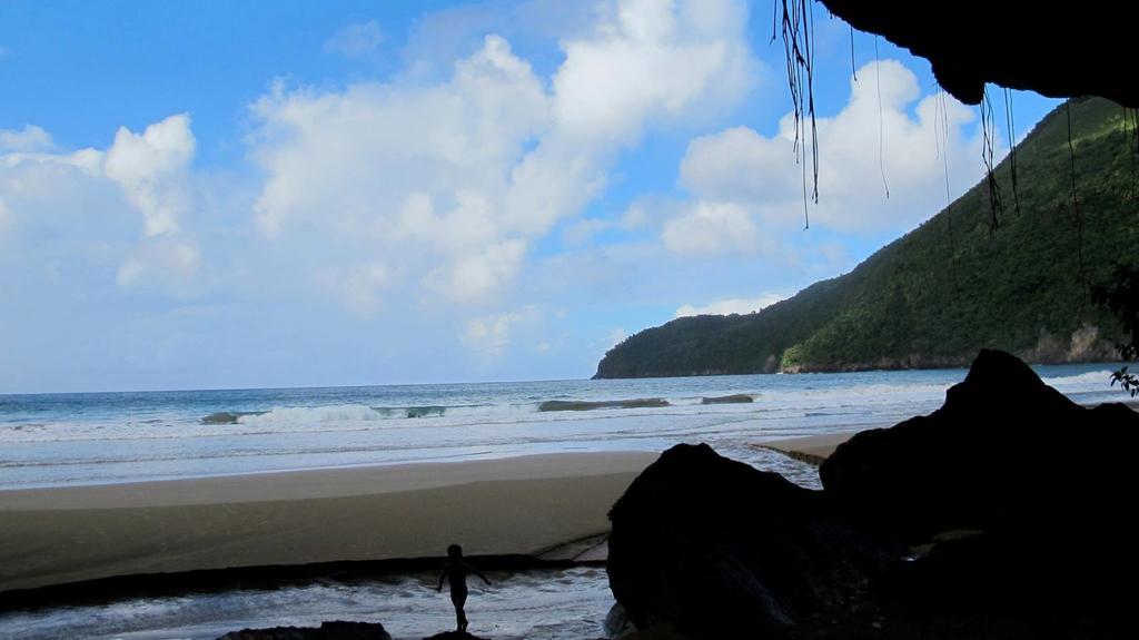 Dominican Tree House Village Santa Barbara De Samana Esterno foto