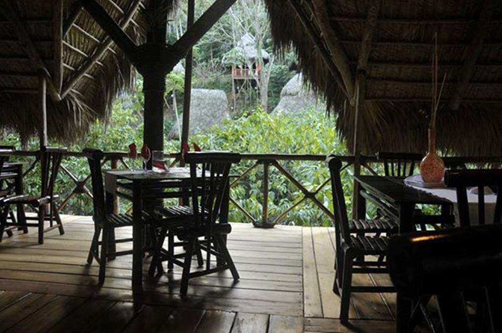 Dominican Tree House Village Santa Barbara De Samana Esterno foto
