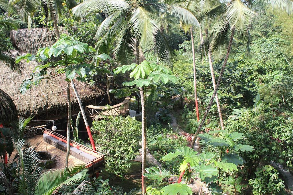 Dominican Tree House Village Santa Barbara De Samana Esterno foto