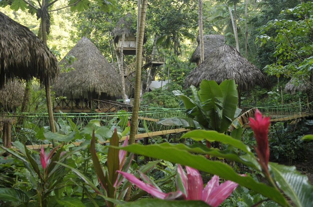 Dominican Tree House Village Santa Barbara De Samana Esterno foto