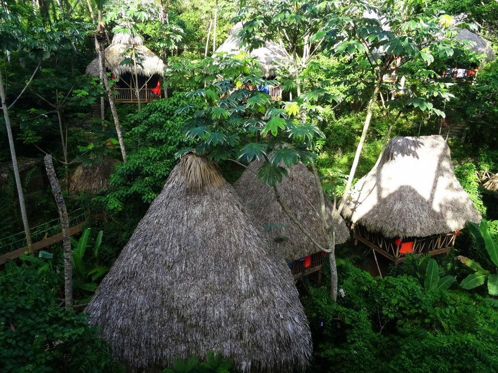Dominican Tree House Village Santa Barbara De Samana Esterno foto