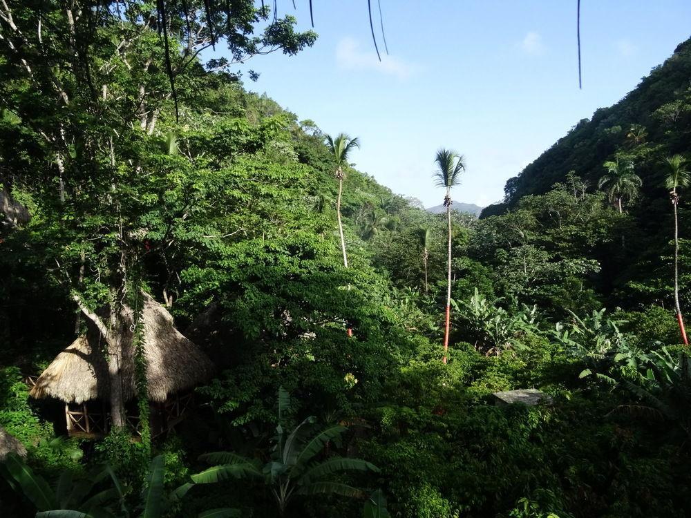 Dominican Tree House Village Santa Barbara De Samana Esterno foto